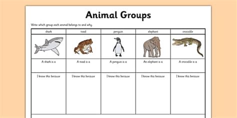 Animal Group Worksheet Grouping Animals Classifying Animals