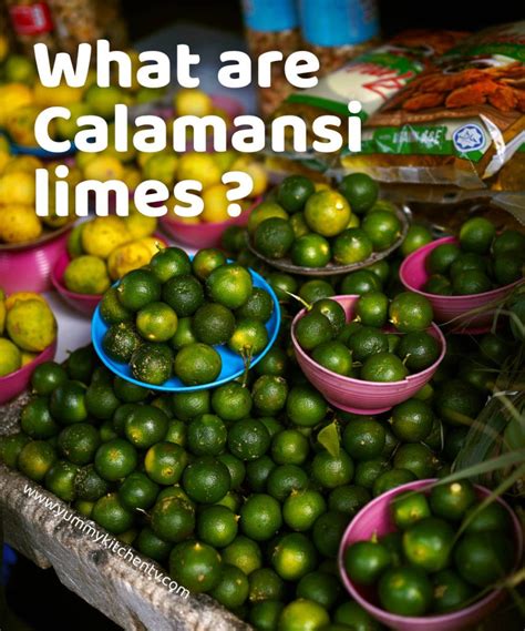 What Are Calamansi Limes Philippine Mini Lemons Yummy Kitchen