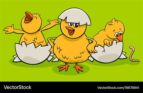 cartoon little chicks hatching from eggs vector image