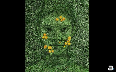 Grass Face Artistic Images Art Artist