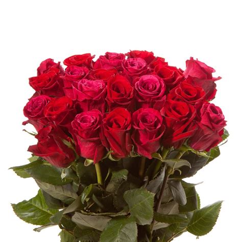 Check out this beautiful photo of red and pink combined flower. Red and Pink Roses Bouquet - Rose Bouquets - Gifts ...