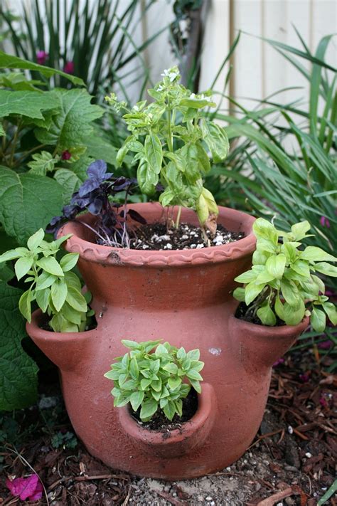Top 10 DIY Creative Herb Garden Ideas - Top Inspired