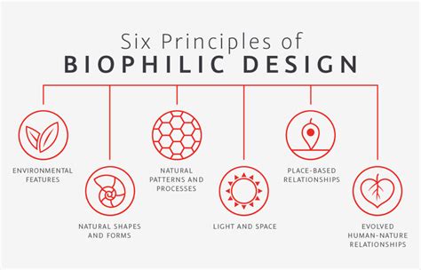 6 Principles Of Biophilic Design The Constructor