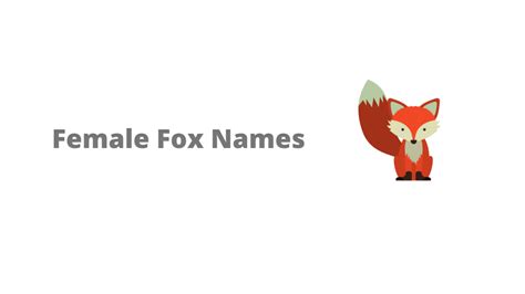 250 Fox Names Male And Female Equine Desire