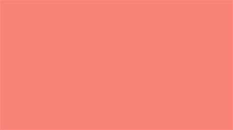 Premium Collection Of Background Pink Coral For Your Design Needs