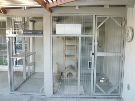 Enclosures For Cats Catios Community Concern For Cats