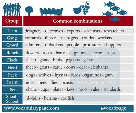 Group Words In English Vocabulary Home