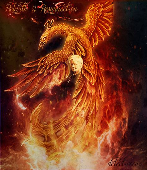 I believe in one god, the first and great cause of goodness. Quotes About Rebirth Phoenix. QuotesGram