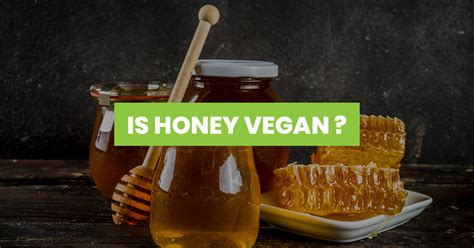 Is Honey Vegan The Simple Truth That May Shock You