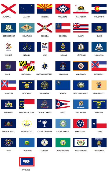 United States America Map State Flags Rendering Isola