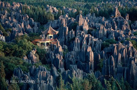 The Stone Forest In China Is A Magical Place You Usually See In Movies
