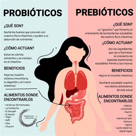 Beneficios de los alimentos probióticos