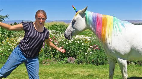Unicorns Are For Grown Ups Only Youtube
