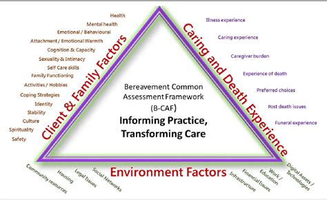 Career assessments have been developed and refined by psychologists and industry leaders for nearly 100 years. Figure 1 from A Bereavement Common Assessment Framework in ...