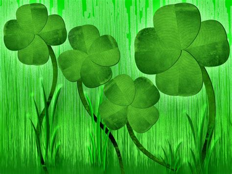 Four Leaf Clover Wallpapers Top Free Four Leaf Clover Backgrounds WallpaperAccess