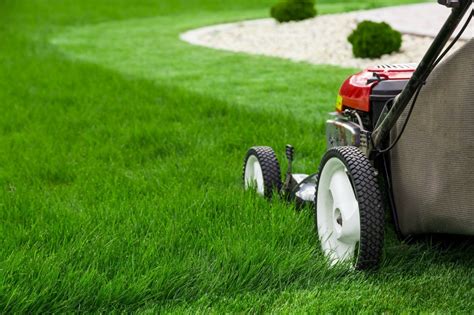 8 Ways To Make Mowing Your Lawn Easier Thriftyfun