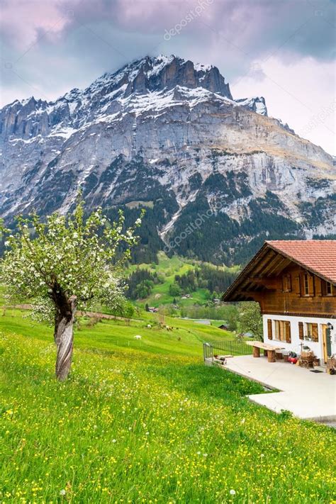 Spring In Swiss Alps — Stock Photo © Volgariver 119723820