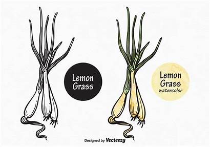 Grass Lemon Clip Vecteezy Vectors System Zapisano