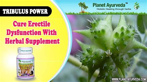Cure Erectile Dysfunction With Herbal Supplement Tribulus Power Youtube