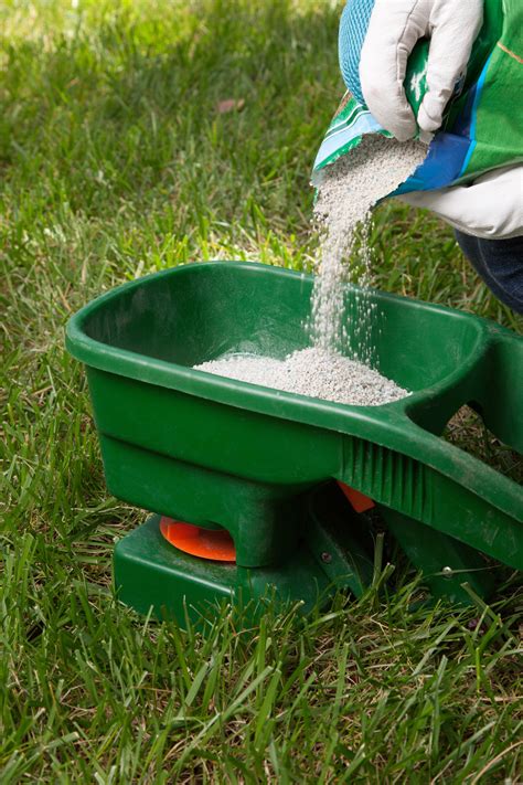 Knowing which fertilizer to use for your lawn in spring can be hard. When to Fertilize Your Lawn in the Spring
