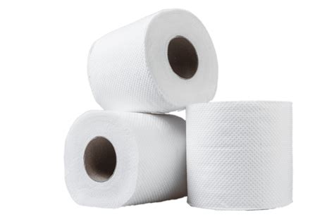 Toilet Paper Png All