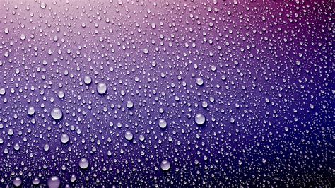 4k Wallpaper Purple Hd Wallpaper For Desktop Background Smartphone