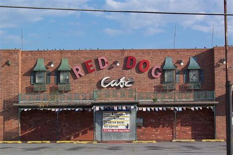 Tlo Restaurant Review Red Dog Café The Lost Ogle