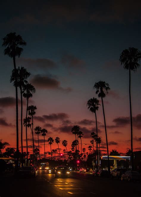 Cali Vibes 🌴🌅 California Sunset California Aesthetic Cali Aesthetic