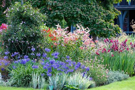 best cottage garden plants our top flowers for romantic borders gardeningetc