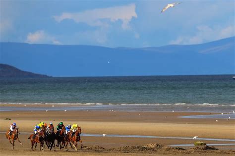 Laytown Races 2018 Best Photos From The Historic Race Meeting In Co