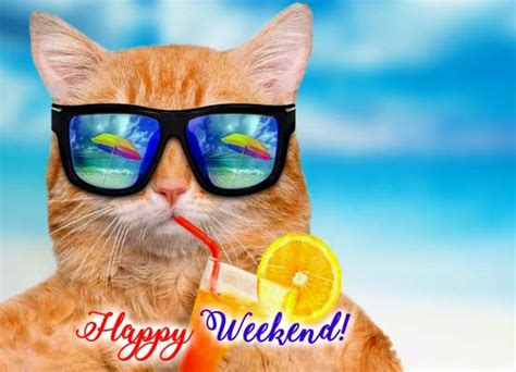 I Am Ready For The Weekend Free Enjoy The Weekend Ecards 123 Greetings