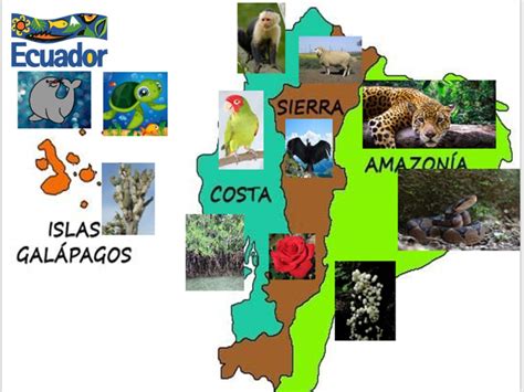 Puzzle De Mapa Del Ecuador Flora Y Fauna Rompecabezas De My Xxx Hot Girl