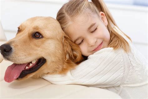 Toca Dos Pets Como Ensinar Uma Criança A Cuidar De Seu Animal De Estimação