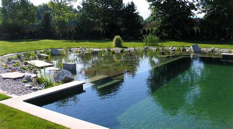 All About Natural Swimming Pools Green Home Guide Ecohome