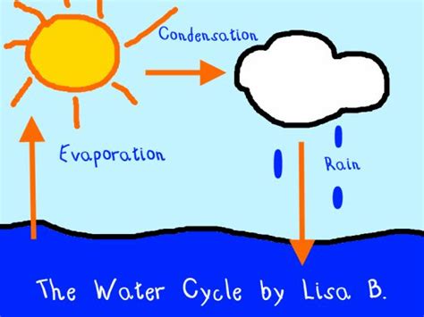 First, get kids started thinking about water and all the ways we use water every day. students can create their own water cycle illustration ...