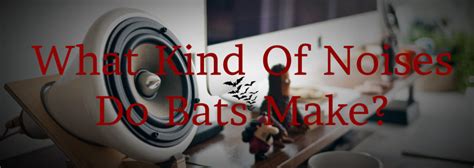 We did not find results for: Do I Have Bats In My Home? Learn About Bat Noises And Sounds.