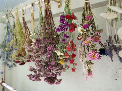 How To Hang Dried Flowers On Wall
