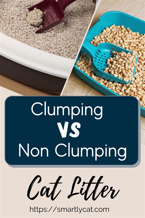 Clumping Vs Non Clumping Cat Litter Clumping Cat Litter Non Clumping