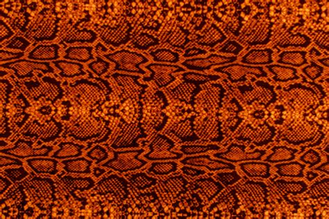 Snake Skin Orange Texture Stock Image Stock Photo Download Image Now