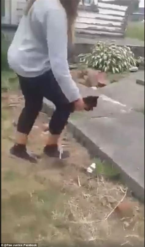Facebook Video Shows Kitten Being Stoned To Death In Nz Daily Mail Online