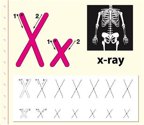 5 · xebec · xenia ; Letter X tracing alphabet worksheets 695782 - Download Free Vectors ...