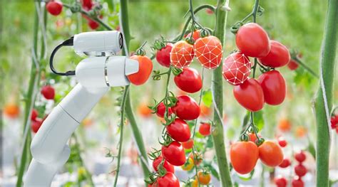 Flying Robots Picking Fruits Leveraging Ai For Automatic Fruit