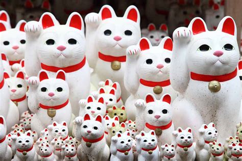 5 Interesting Facts About Maneki Neko Fortune Cats Or Lucky Cats