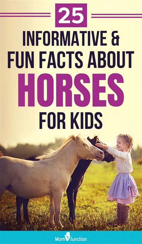 25 Informative And Fun Facts About Horses For Kids Horse