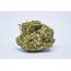 Black Jack Strain Of Marijuana  Weed Cannabis Herb
