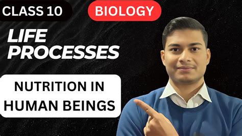 Life Processes Class Science Biology Nutrition In Human Beings