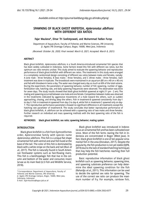 PDF SPAWNING OF BLACK GHOST KNIFEFISH Apteronotus Albifrons WITH