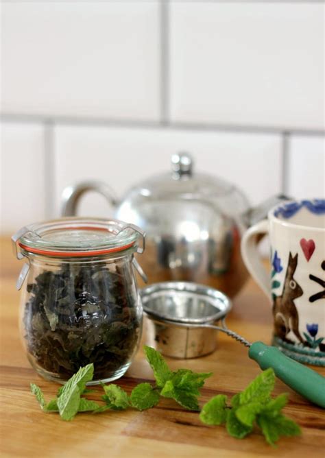 How To Dry Mint Leaves For Tea In The Oven Moral Fibres
