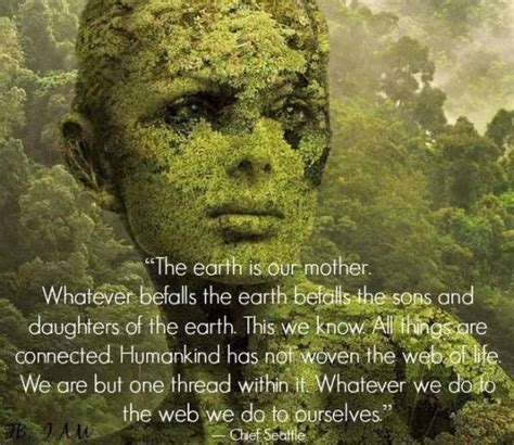 32 Facts That Will Open Your Mind To The Truth Gallery Mother Earth