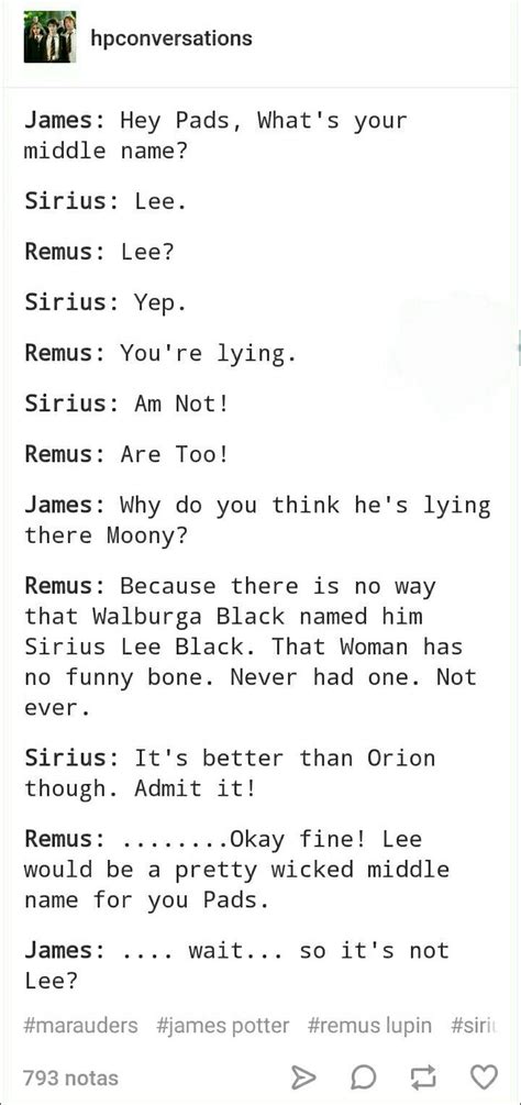 Marauders Sirius Black James Potter Remus Lupin And Peter Pettigrew